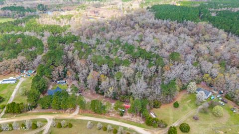 Tiny photo for 259 Heathers Folly Road, Willard, NC 28478 (MLS # 100561139)
