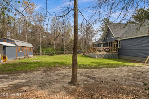 Tiny photo for 259 Heathers Folly Road, Willard, NC 28478 (MLS # 100561139)