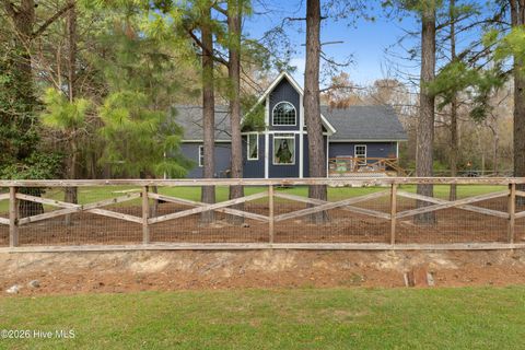 Tiny photo for 259 Heathers Folly Road, Willard, NC 28478 (MLS # 100561139)
