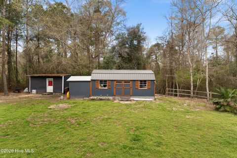 Tiny photo for 259 Heathers Folly Road, Willard, NC 28478 (MLS # 100561139)