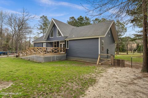 Tiny photo for 259 Heathers Folly Road, Willard, NC 28478 (MLS # 100561139)