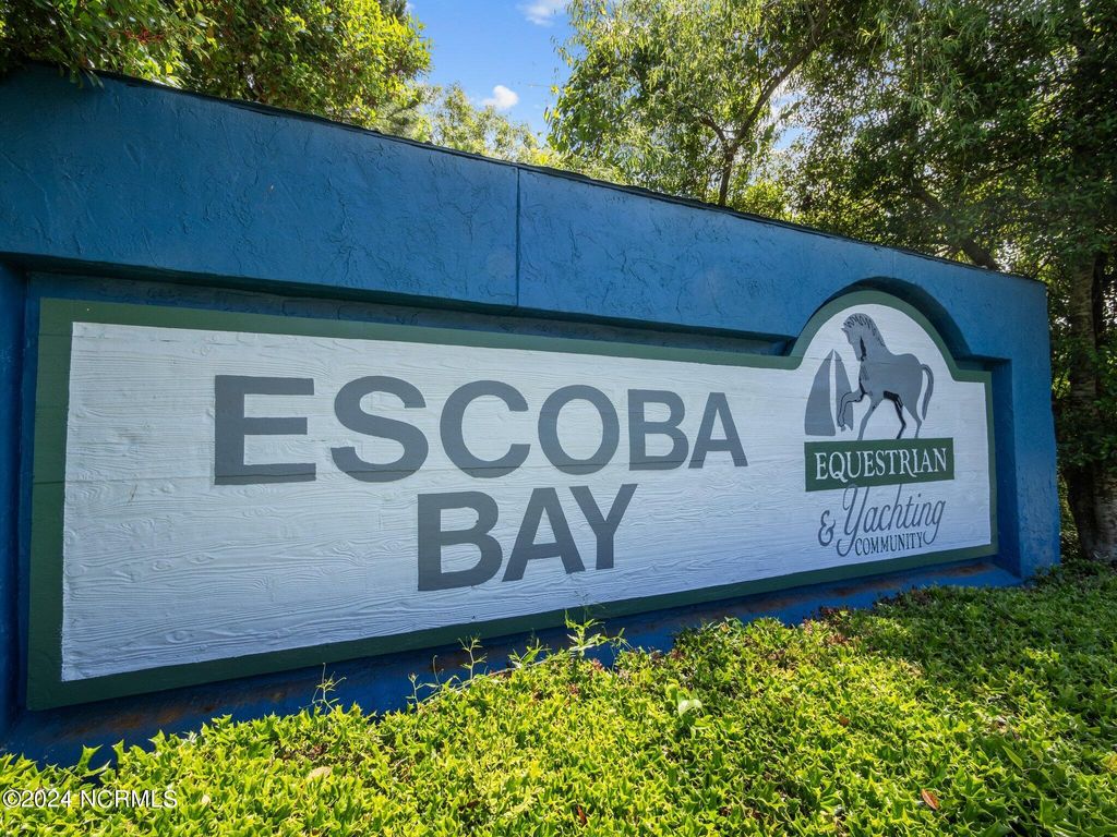 Photo of 408 Celtic Ash Street, Sneads Ferry, NC 28460 (MLS # 100560407)