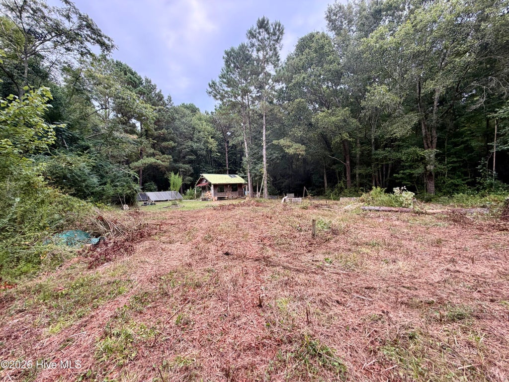 Photo of 182 Rock Road, Maple Hill, NC 28454 (MLS # 100600051)