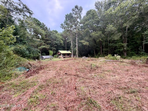 Tiny photo for 182 Rock Road, Maple Hill, NC 28454 (MLS # 100600051)