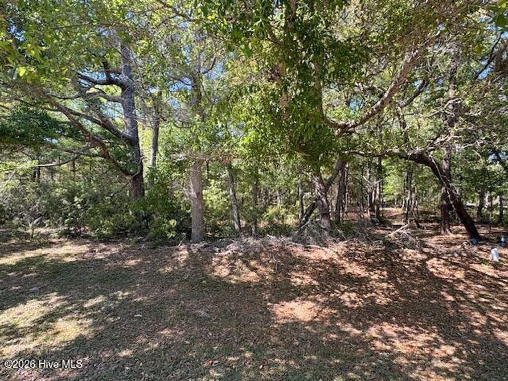 Photo of 1994 Redfish Run SW, Supply, NC 28462 (MLS # 100568920)