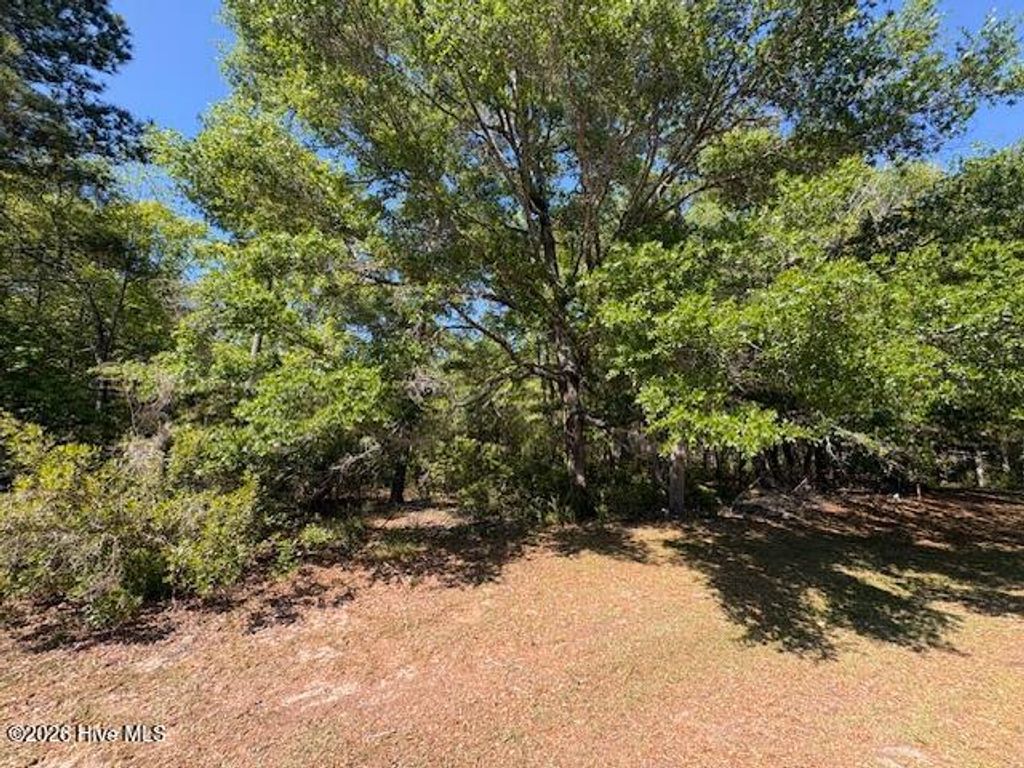 Photo of 1994 Redfish Run SW, Supply, NC 28462 (MLS # 100568920)