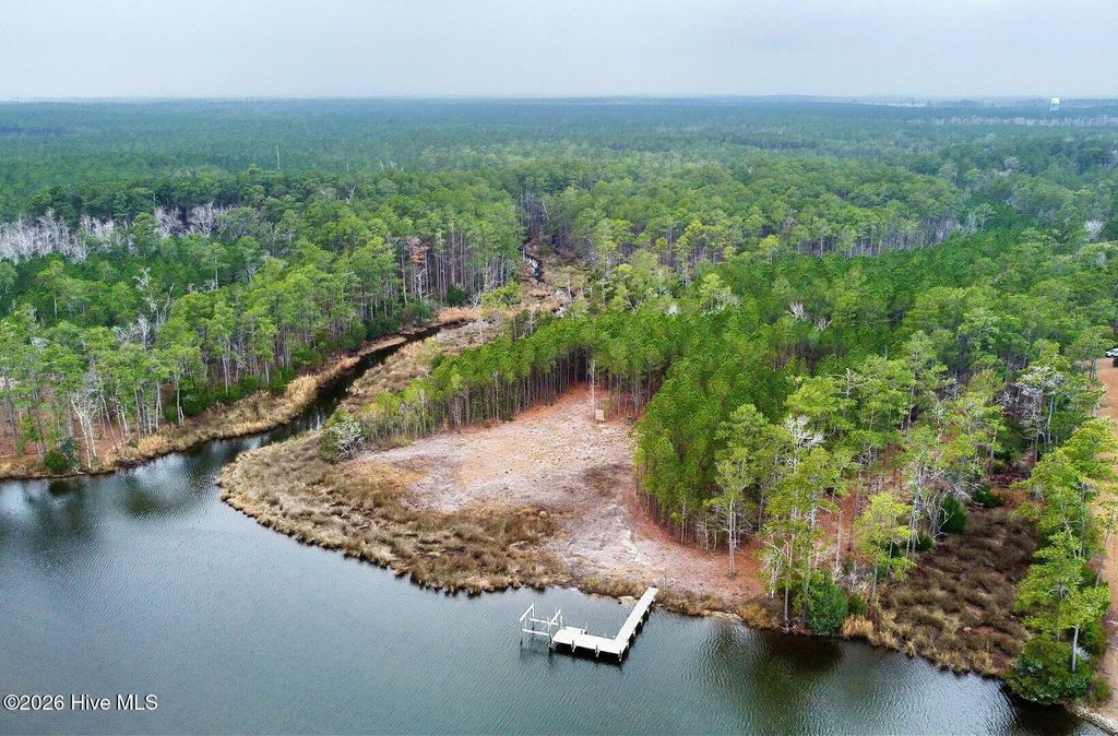 Photo of 499 Tar Creek Road, Oriental, NC 28571 (MLS # 100538562)