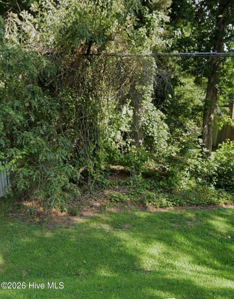Vacant Land For Sale - 118 Rockfish Street<br/> Edenton, NC 27932