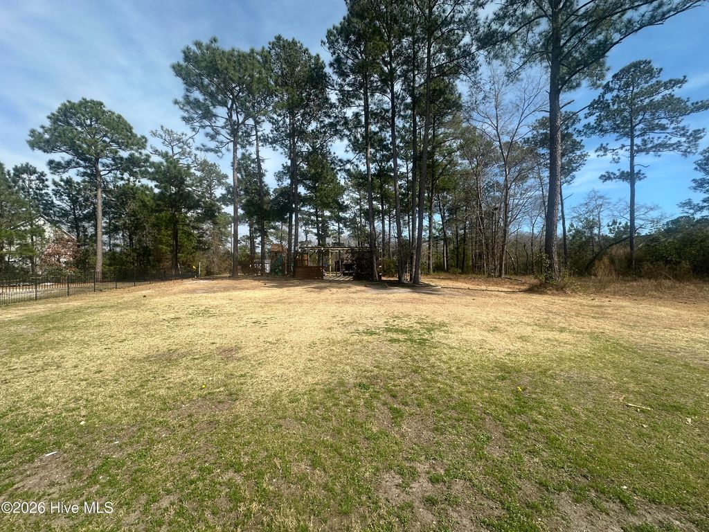 Photo of 238 E Ivybridge Drive, Hubert, NC 28539 (MLS # 100559148)