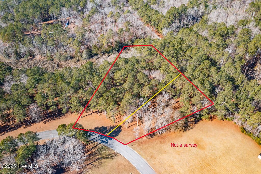 Photo of 820 Southern Plantation Drive N, Oriental, NC 28571 (MLS # 100485368)