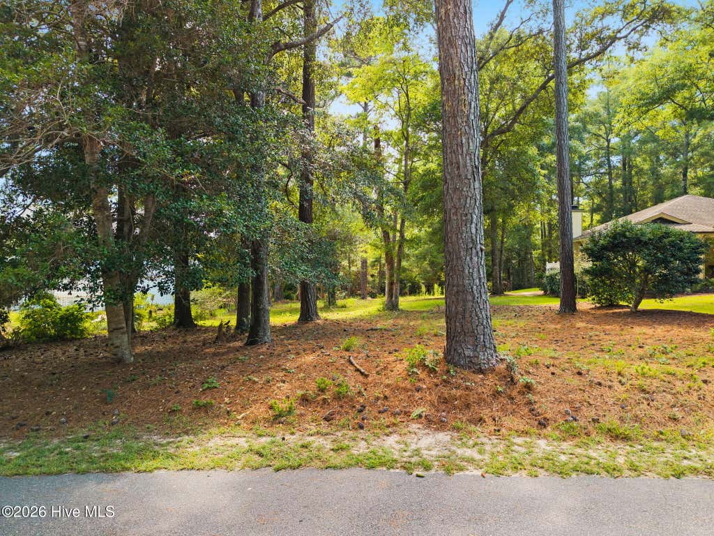 Photo of 3239 Marsh View Drive SW, Supply, NC 28462 (MLS # 100596268)