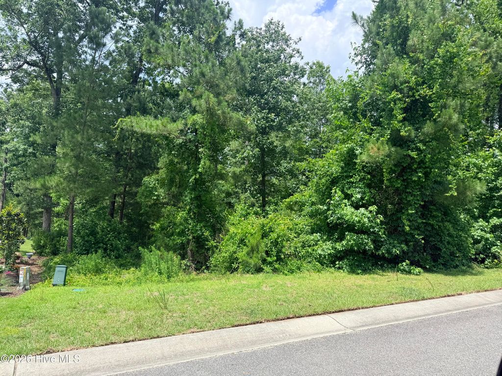 Photo of 9661 Sweet Apple Lane NE, Leland, NC 28451 (MLS # 100563167)
