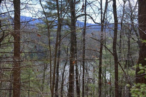 Vacant Land For Sale - 00 Chestnut Ridge<br/> Graham County, Robbinsville, NC 28771