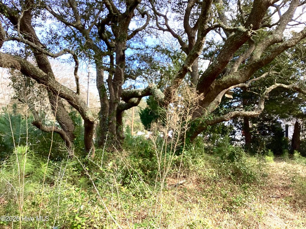 Photo of 621 Harbor Drive SE, Bolivia, NC 28422 (MLS # 100555766)