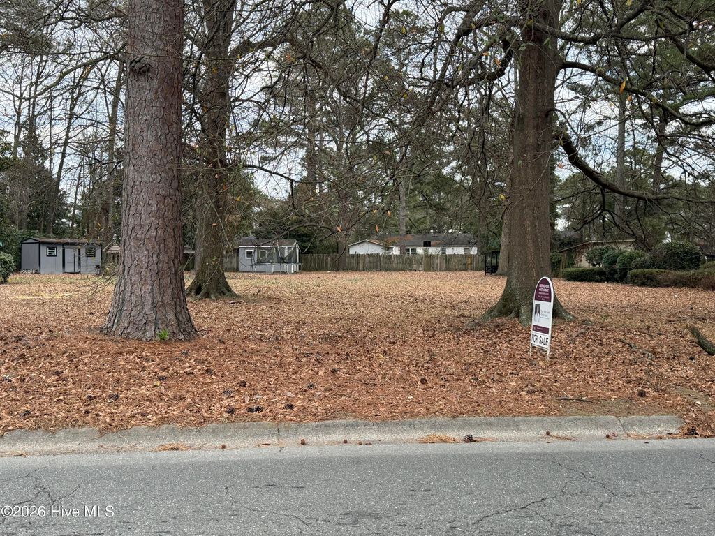 Photo of 45 Ninth Street, Goldsboro, NC 27434 (MLS # 100549879)