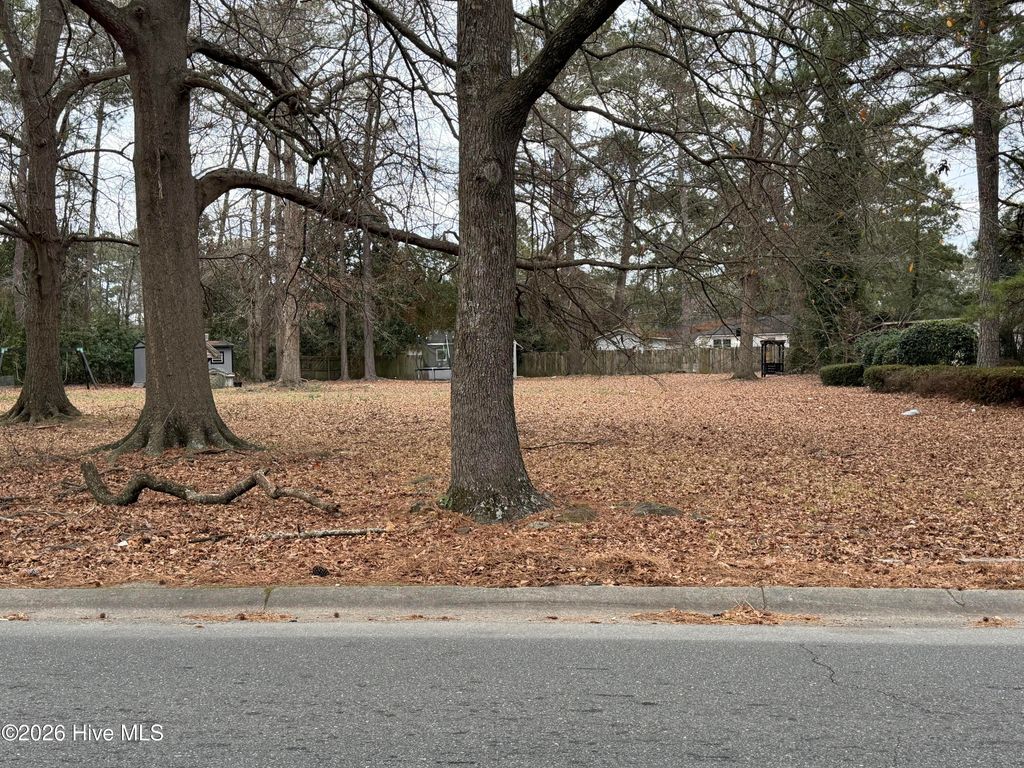 Photo of 45 Ninth Street, Goldsboro, NC 27434 (MLS # 100549879)