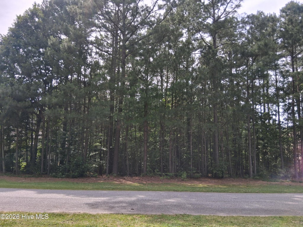 Photo of 40 Boshers Point Drive Drive, Hertford, NC 27944 (MLS # 100579473)