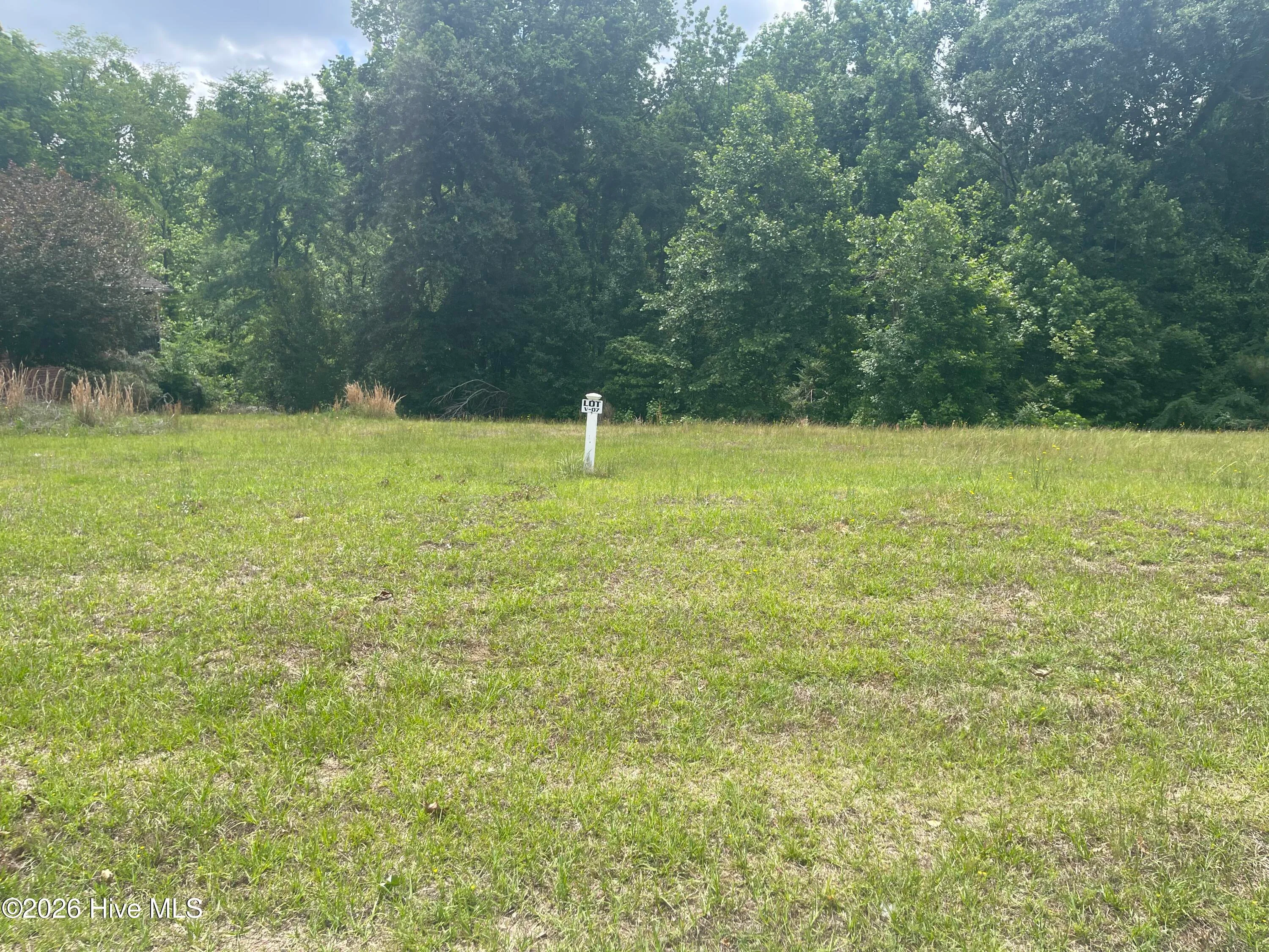 Lot V-7 Dry Branch Way