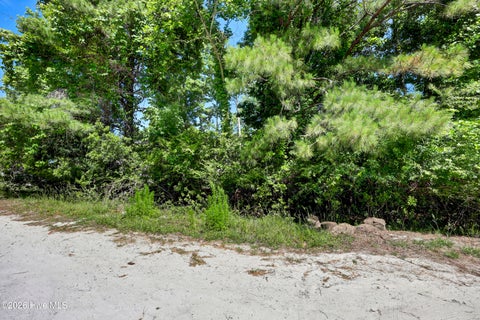 Tiny photo for 19 Hidden Fawn Lane, Hampstead, NC 28443 (MLS # 100577733)