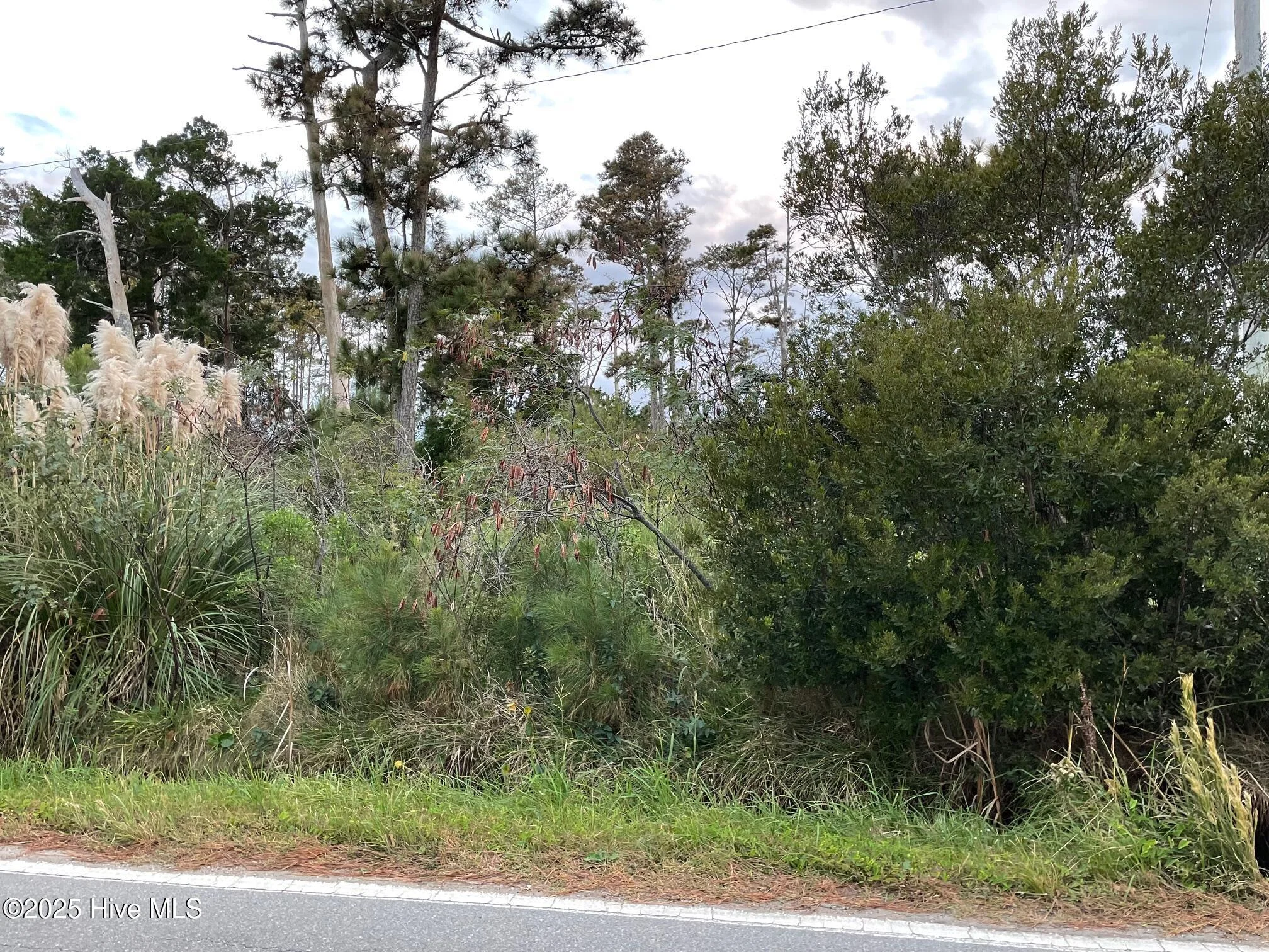 3019 Cedar Island Rd Rd, Cedar Island, NC, 28520