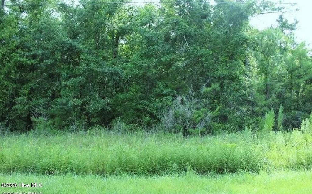 Photo of 11 Jamaica Drive, Hampstead, NC 28443 (MLS # 100587940)
