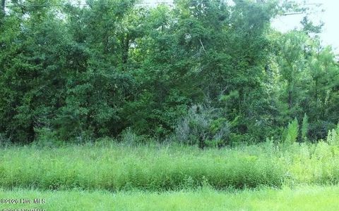 Photo of 11 Jamaica Drive, Hampstead, NC 28443 (MLS # 100587940)