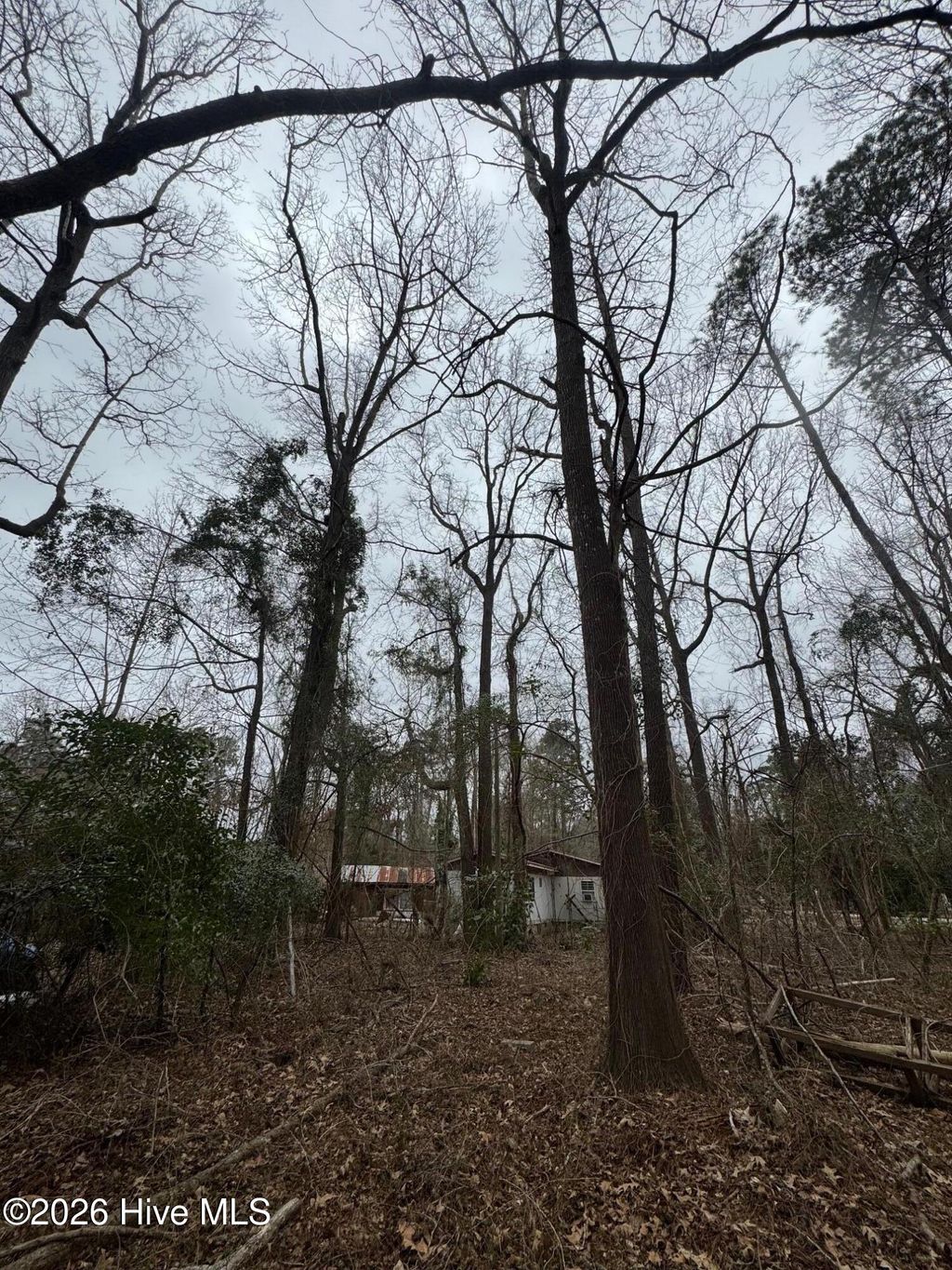 Photo of 144 Hemlock Street, Hertford, NC 27944 (MLS # 100585149)