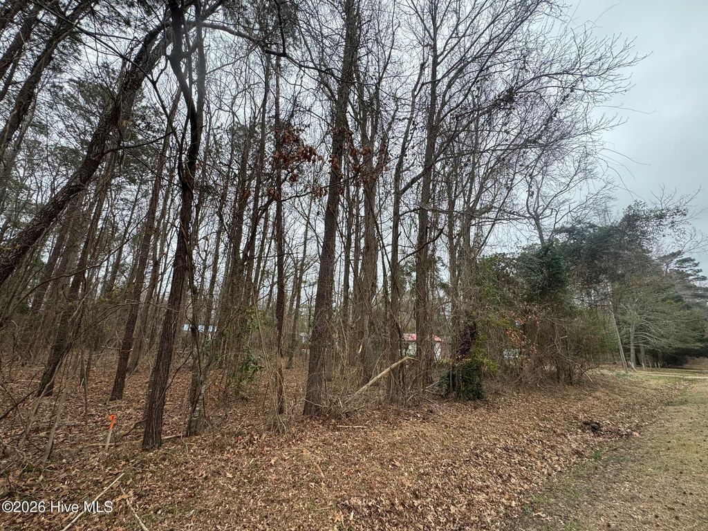 Photo of 144 Hemlock Street, Hertford, NC 27944 (MLS # 100585149)