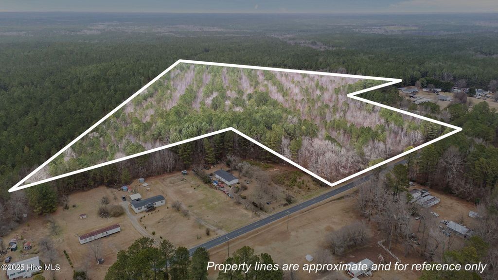 Photo of 1648 Harrison Road, Nashville, NC 27856 (MLS # 100546867)