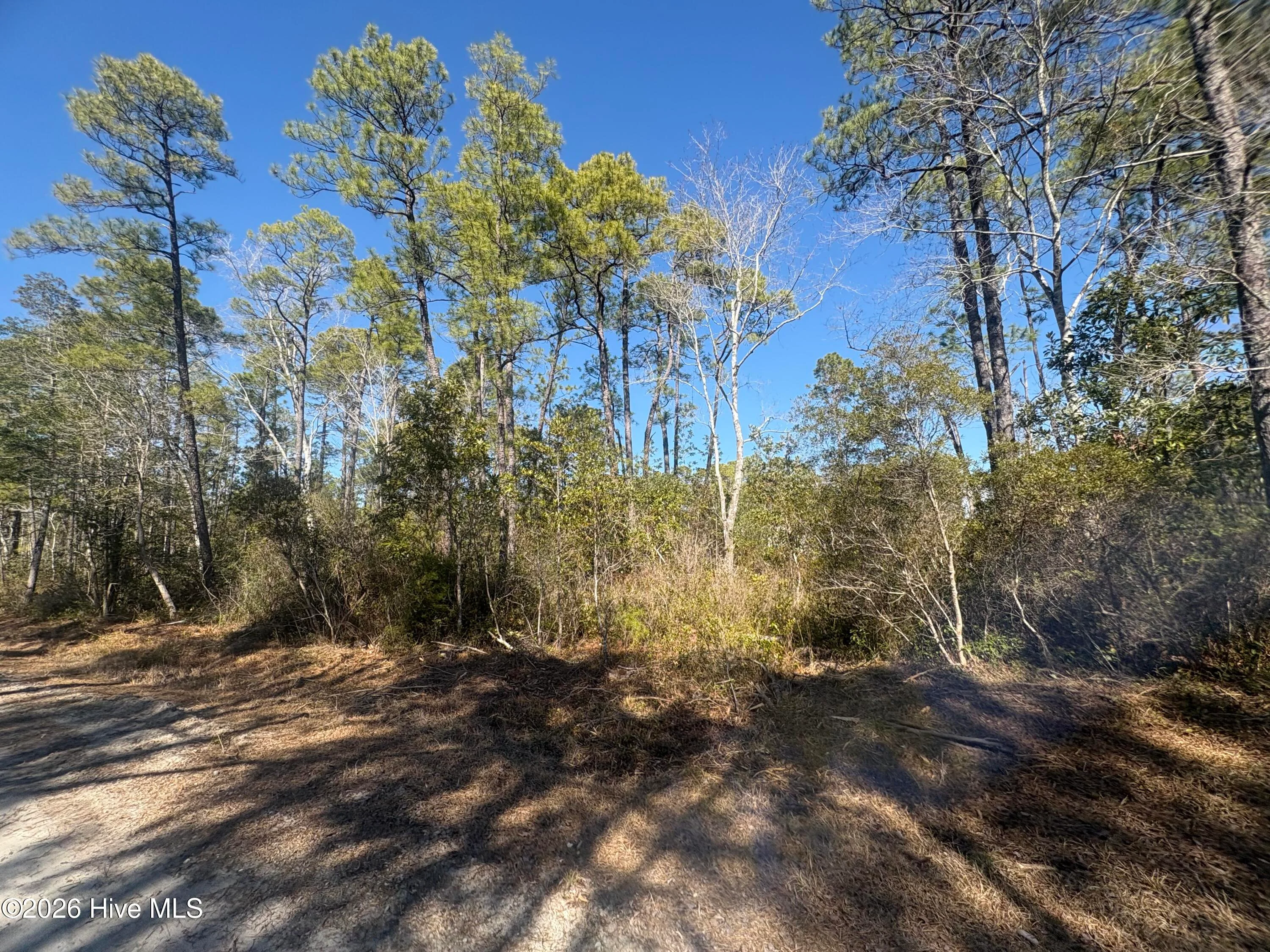 516 Barclay Road, Boiling Spring Lakes, NC, 28461