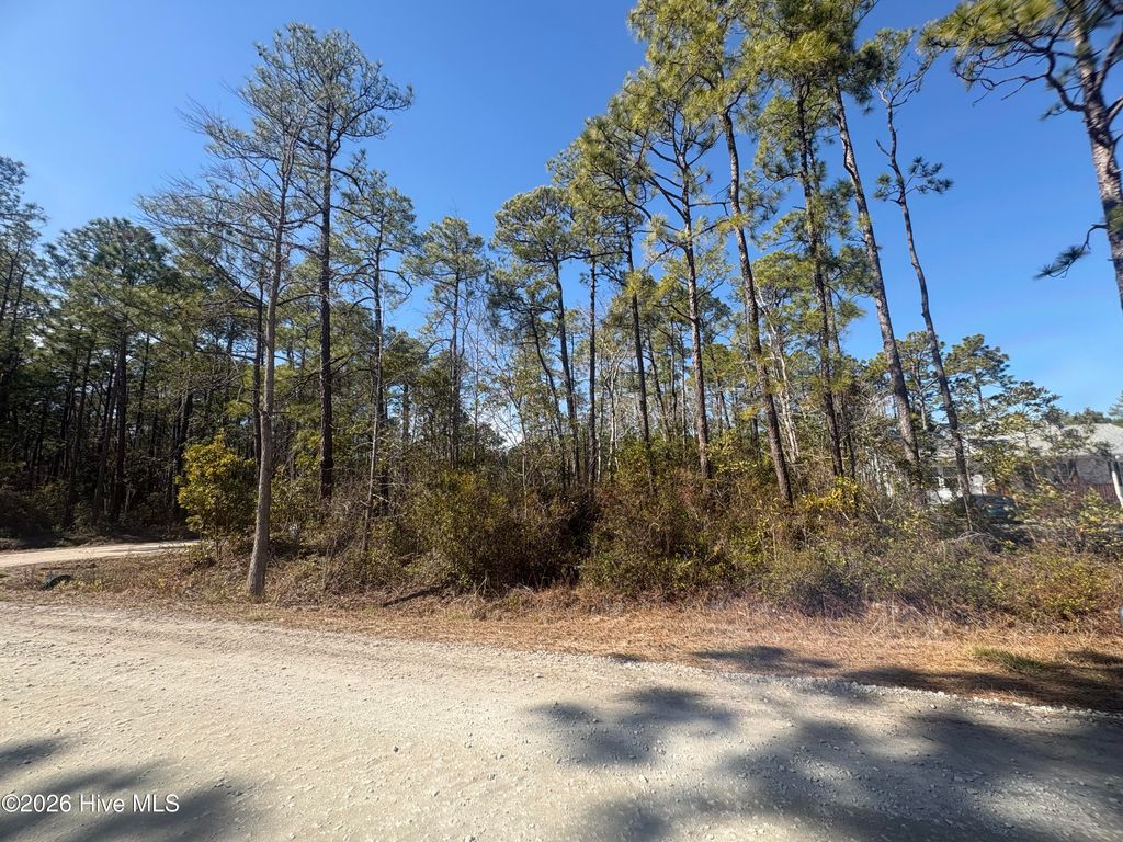 Photo of 516 Barclay Road, Boiling Spring Lakes, NC 28461 (MLS # 100554716)