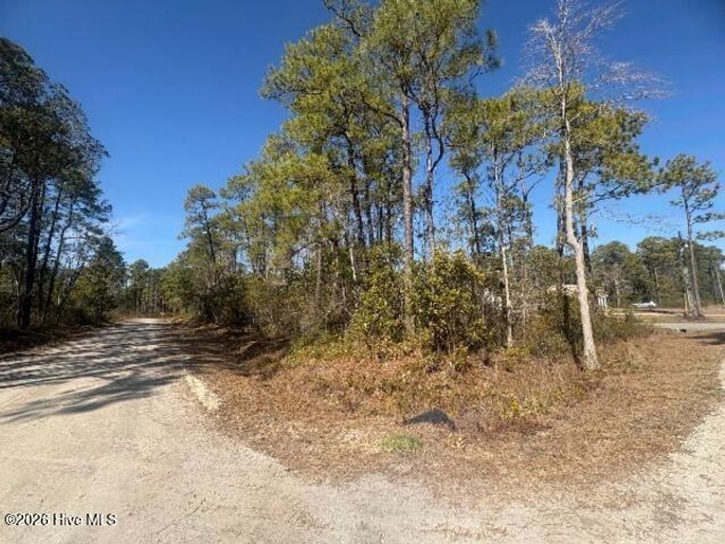 Photo of 516 Barclay Road, Boiling Spring Lakes, NC 28461 (MLS # 100554716)