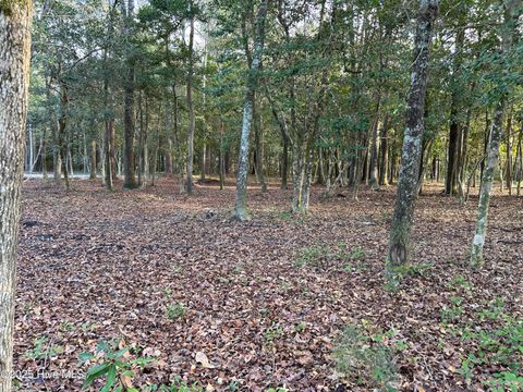 Tiny photo for 128 Stones Throw Lane, Wilmington, NC 28411 (MLS # 100545213)