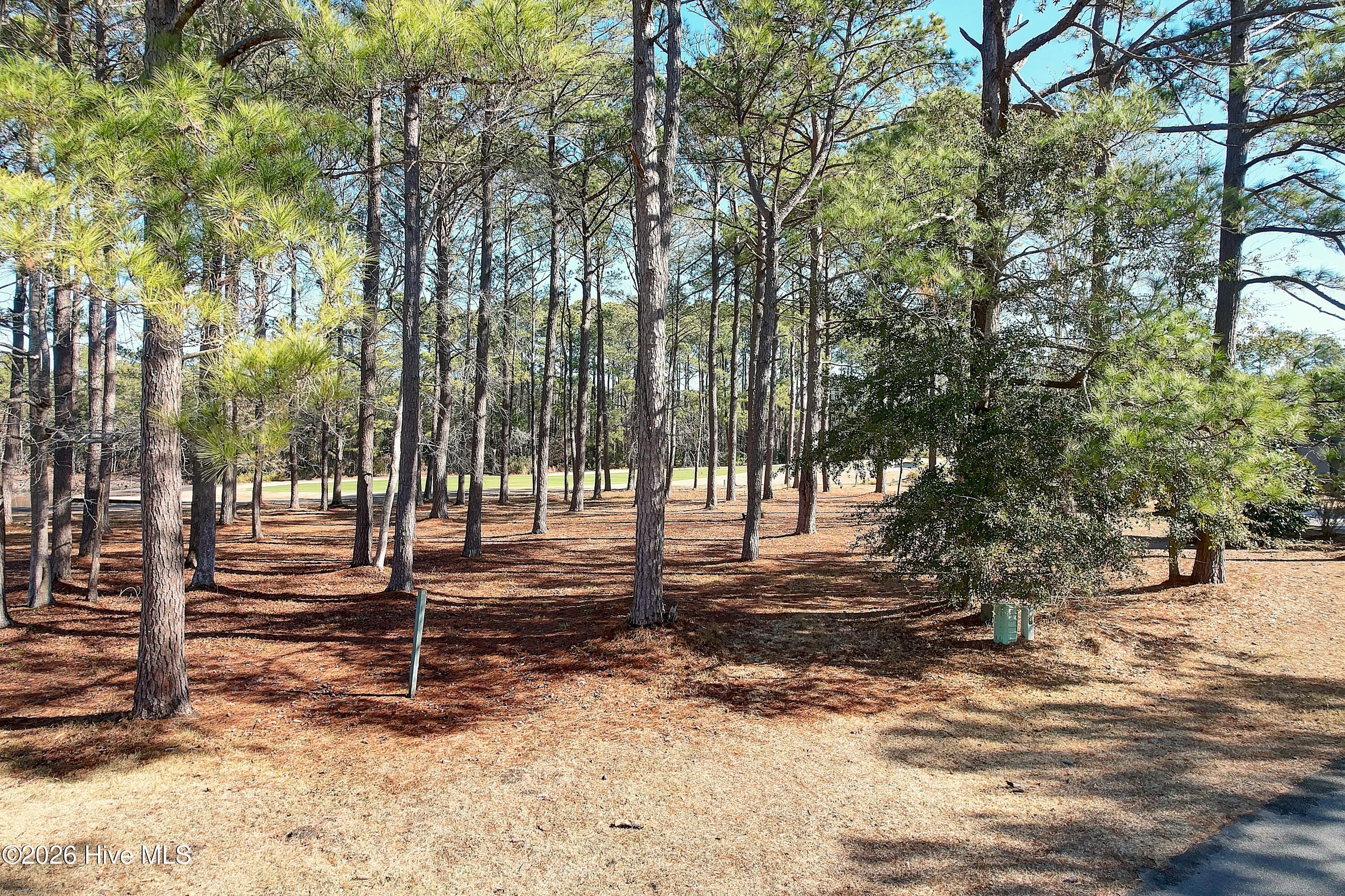 43 Kings Trail