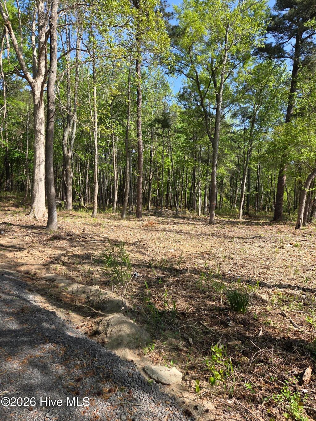 Photo of 903 Macedonia Road, Edenton, NC 27932 (MLS # 100566178)