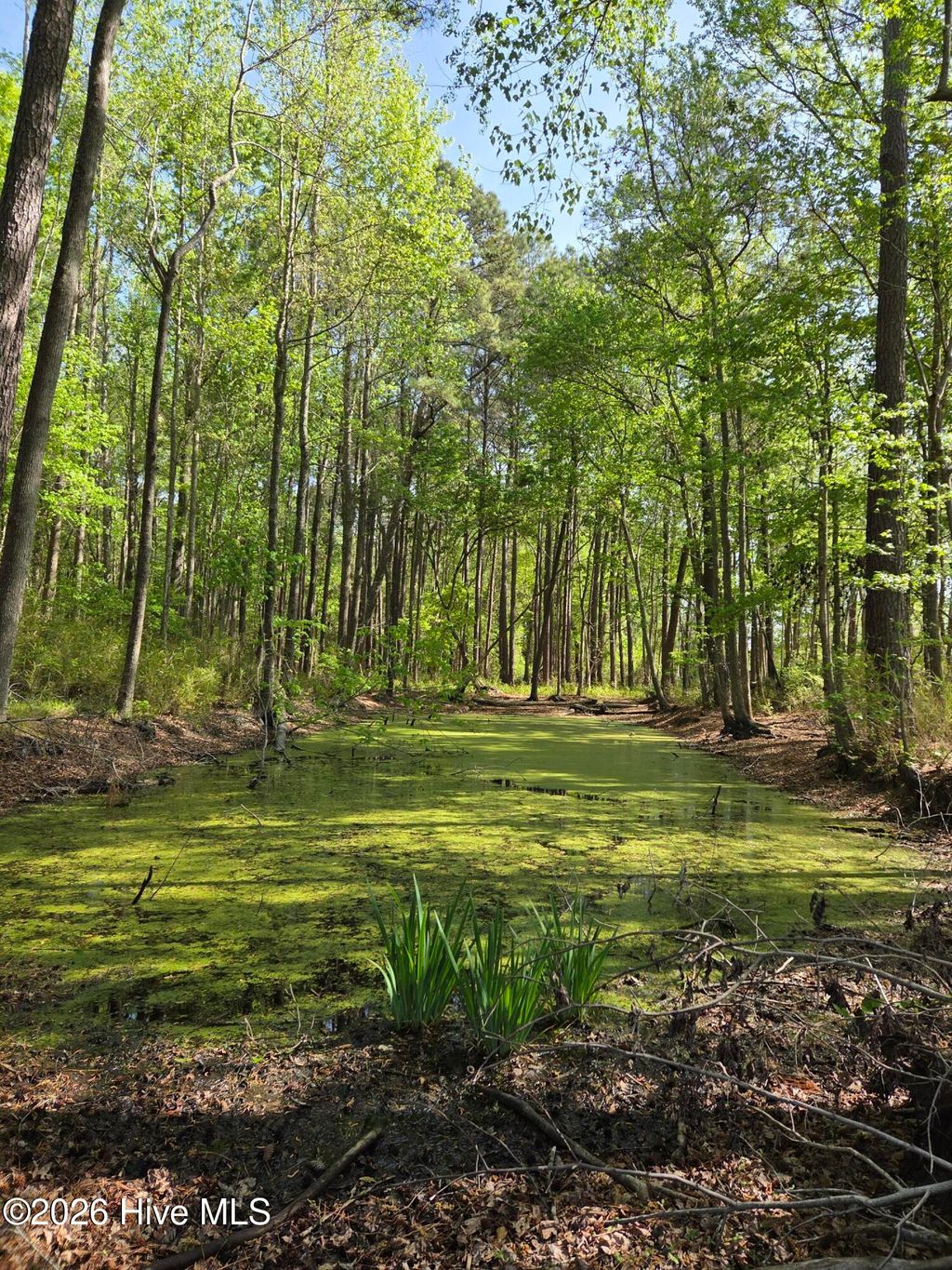 Photo of 903 Macedonia Road, Edenton, NC 27932 (MLS # 100566178)