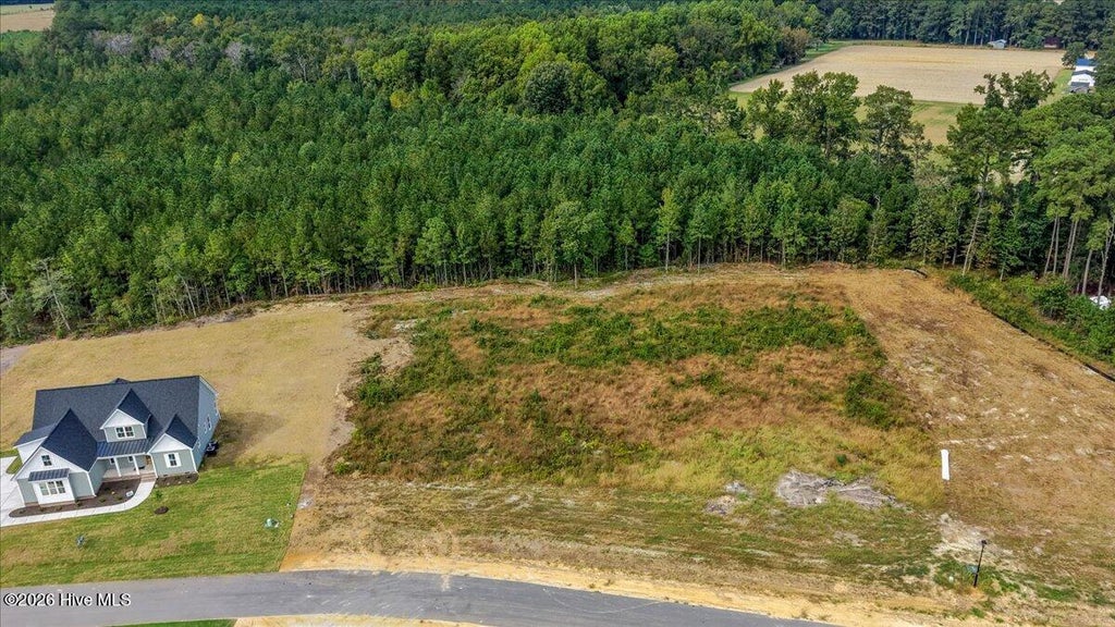 Photo of 148 Hillstead Way, Smithfield, NC 27577 (MLS # 100609736)