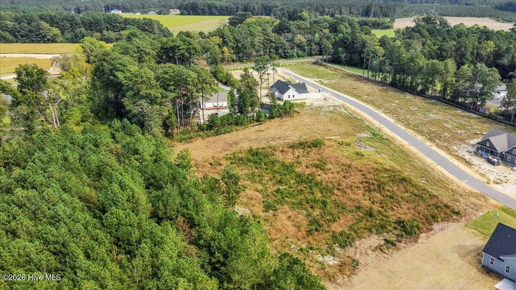 Photo of 148 Hillstead Way, Smithfield, NC 27577 (MLS # 100609736)