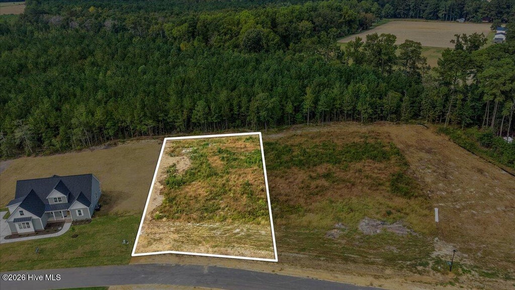 Photo of 148 Hillstead Way, Smithfield, NC 27577 (MLS # 100609736)