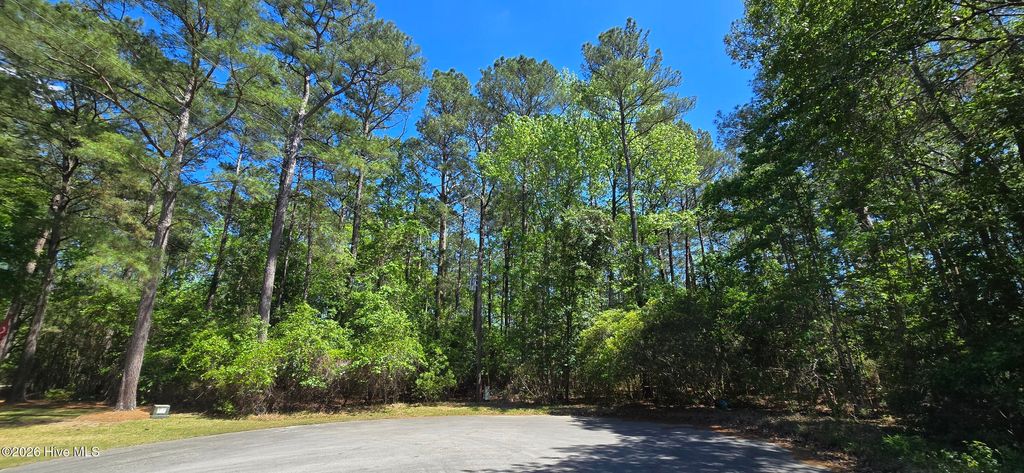 Photo of 2 Palmer Drive, Shallotte, NC 28470 (MLS # 100569763)