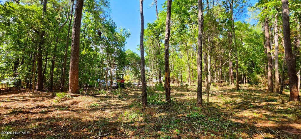 Photo of 2 Palmer Drive, Shallotte, NC 28470 (MLS # 100569763)