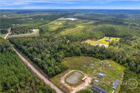 Vacant Land For Sale - 1139 Henry Walcott Road<br/> Long County, Ludowici, GA 31316