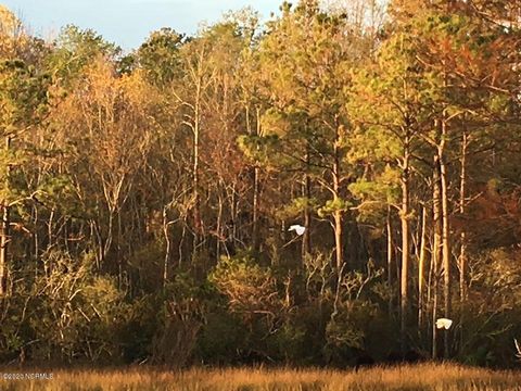 Tiny photo for 613 Hughes Road, Hampstead, NC 28443 (MLS # 100261317)