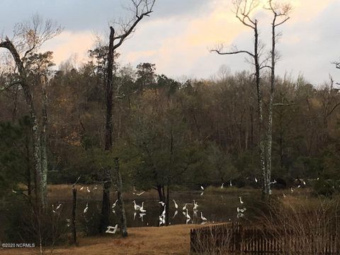 Tiny photo for 613 Hughes Road, Hampstead, NC 28443 (MLS # 100261317)