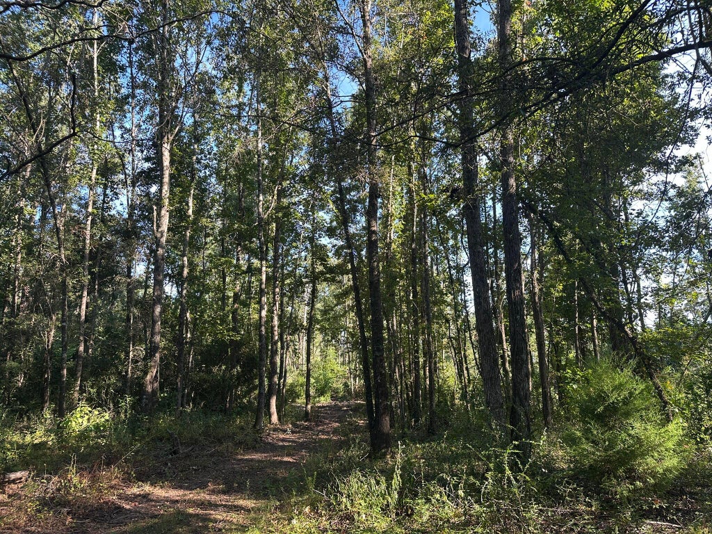Photo of 1011 Bailey Road, Louisville, GA 30434 (MLS # 100612738)