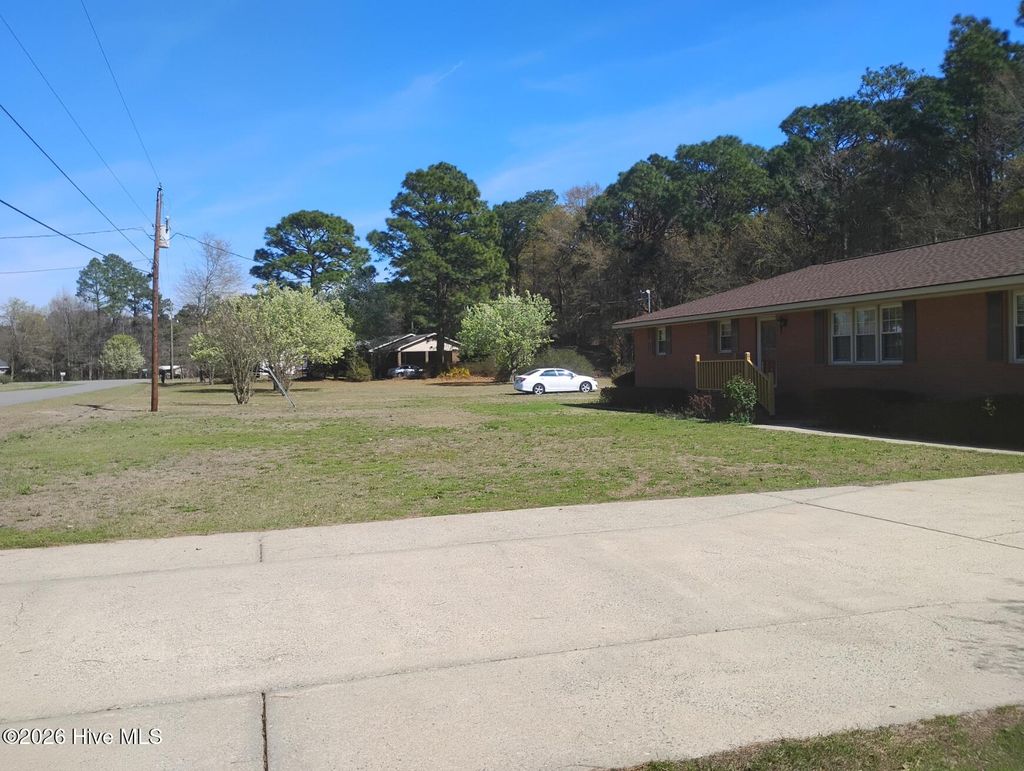 Photo of 161 Grant Drive, Goldsboro, NC 27534 (MLS # 100560334)