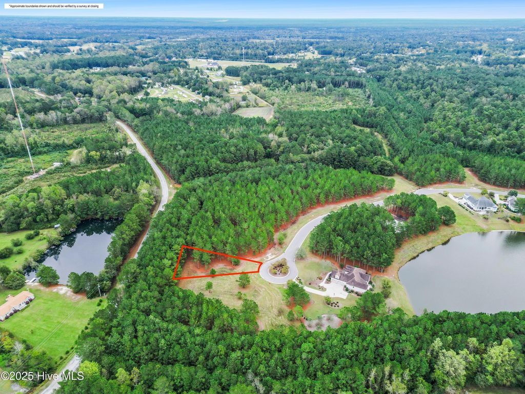 Photo of 328 Cellars Way, Wallace, NC 28466 (MLS # 100537258)