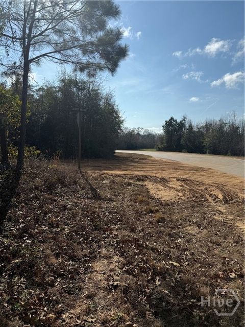 Vacant Land For Sale - George Moore Road<br/> Bulloch County, Statesboro, GA 30461