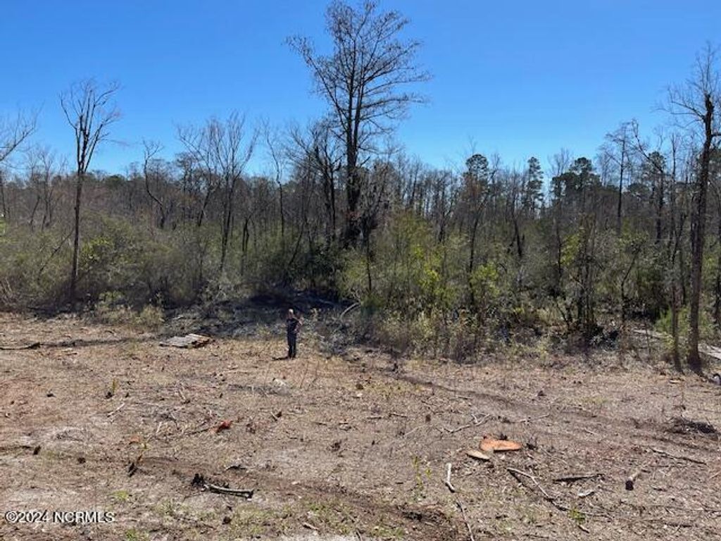 Photo of 111 Barry Lane, Jacksonville, NC 28540 (MLS # 100444039)