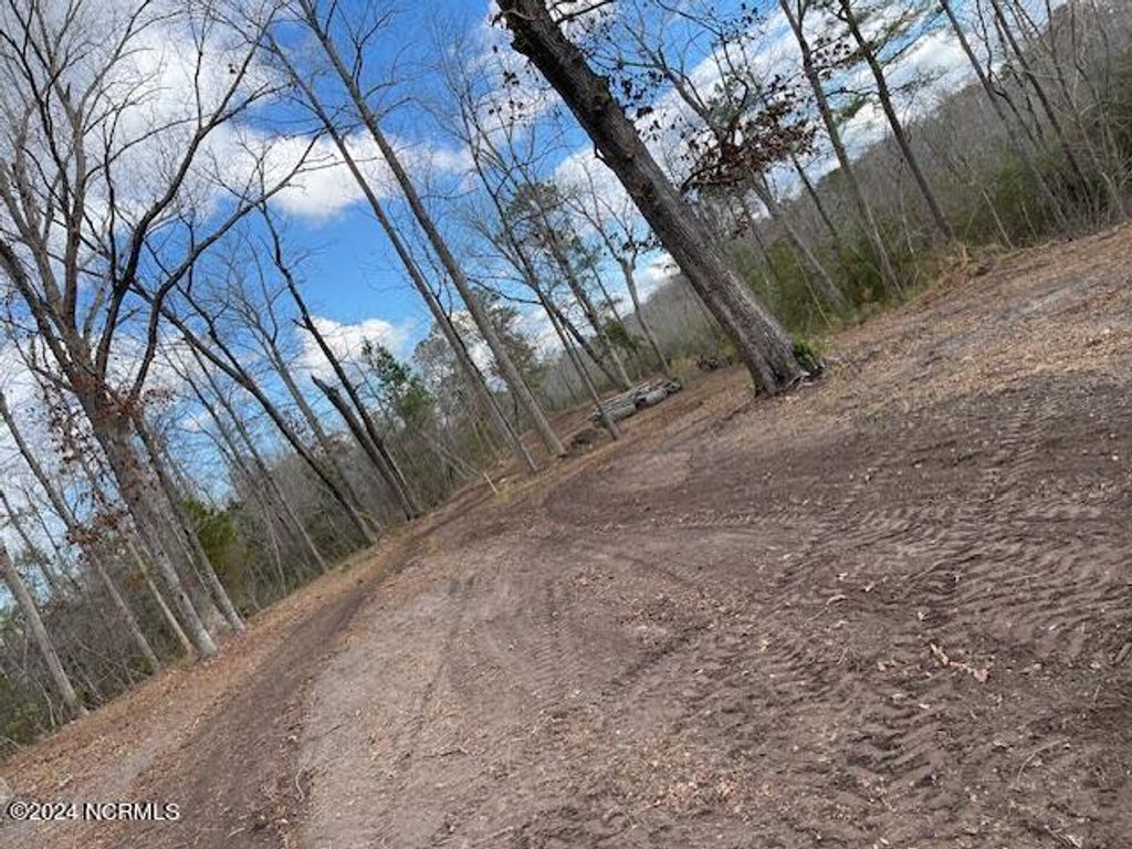 Photo of 111 Barry Lane, Jacksonville, NC 28540 (MLS # 100444039)